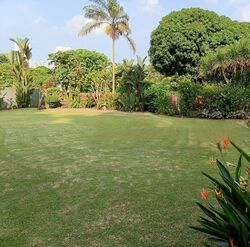 Caldecott Hill Estate (D11), Detached #477546421